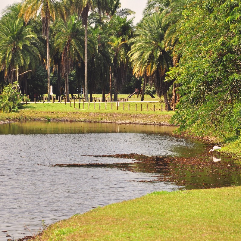 Onde fazer piquenique no Rio de Janeiro - Bosque da Barra