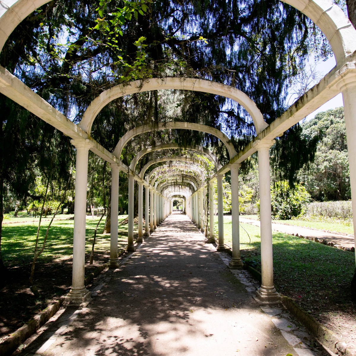 lugares instagramáveis no rio - jardim botânico