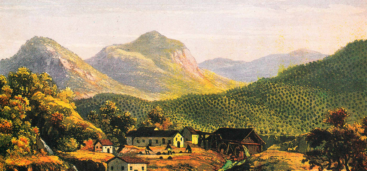 Rio de Janeiro e o café: 245 anos de história